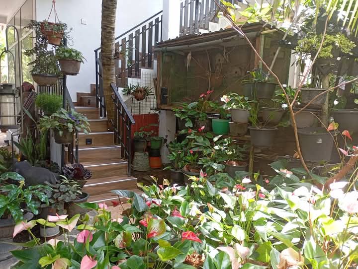 Lush Garden Entrance