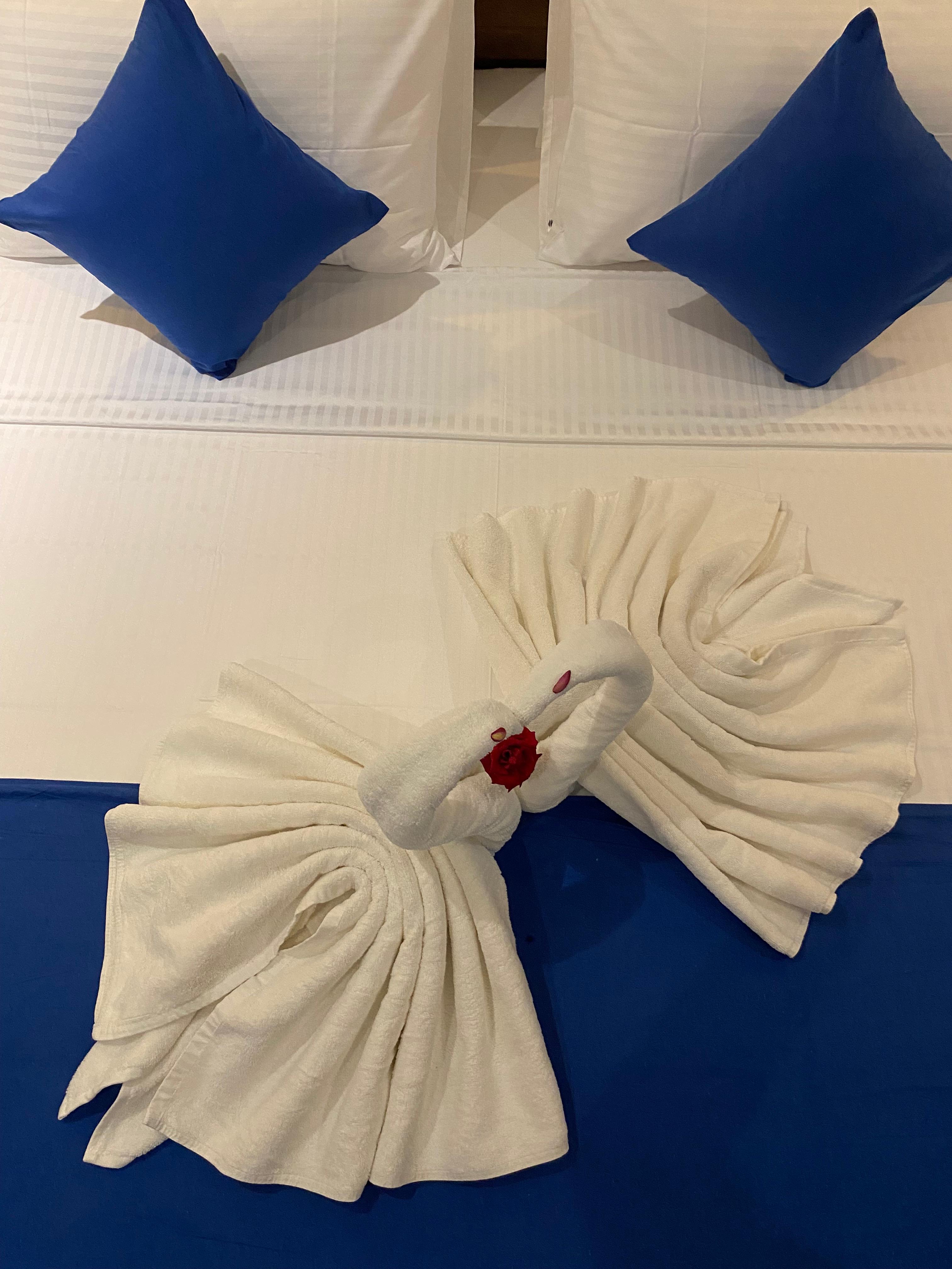 Towel Swans on Bed