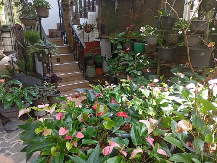 Lush Garden Entrance