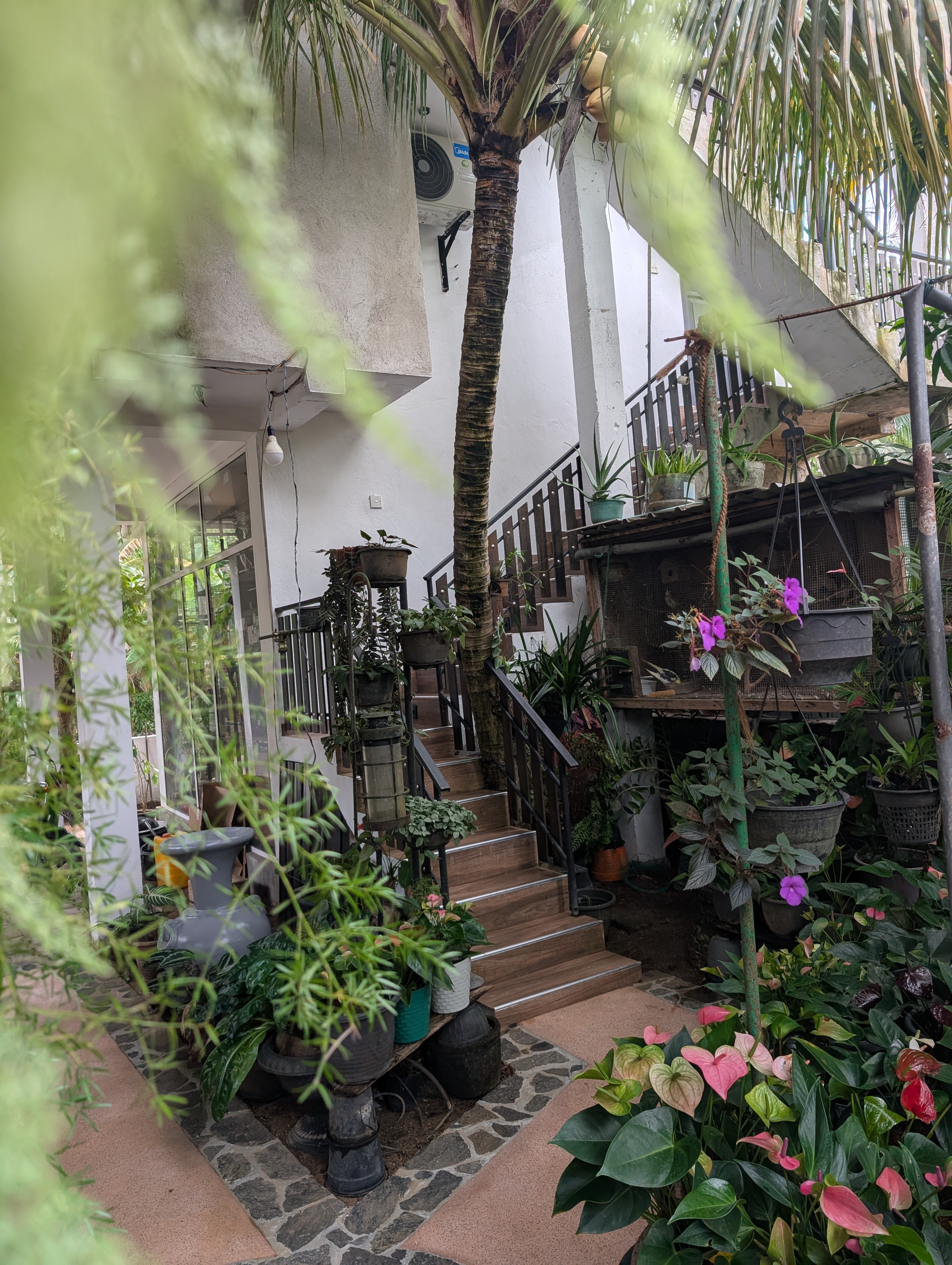 Lush Garden Entrance